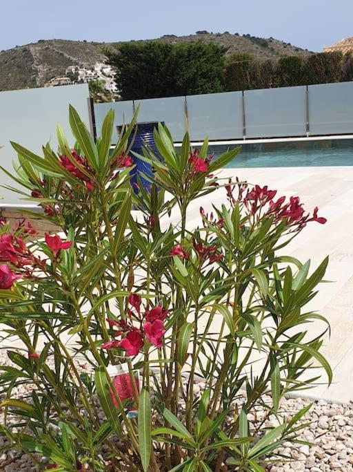 Casa Osimos Portet 450 M Moraira Dış mekan fotoğraf