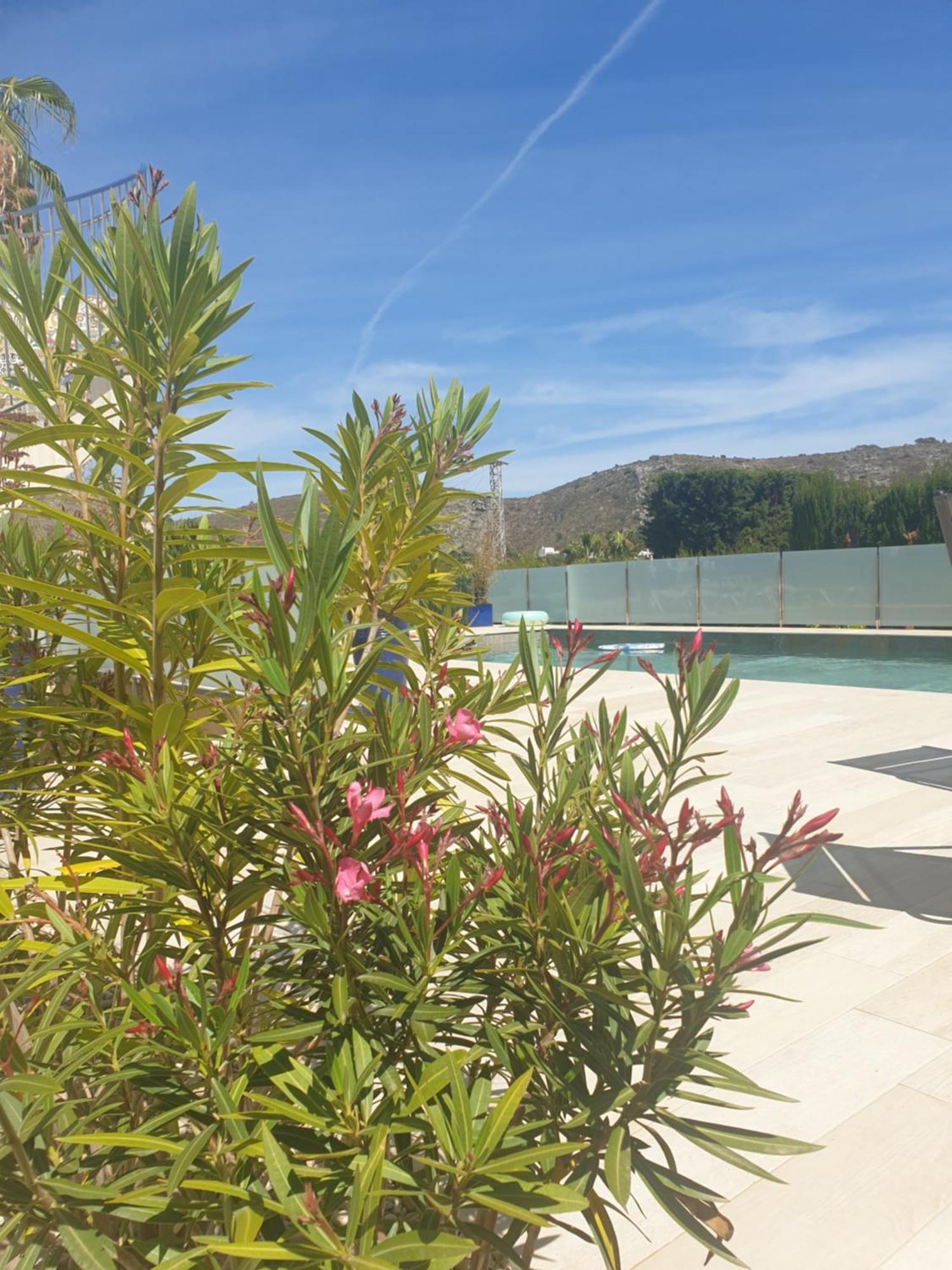 Casa Osimos Portet 450 M Moraira Dış mekan fotoğraf